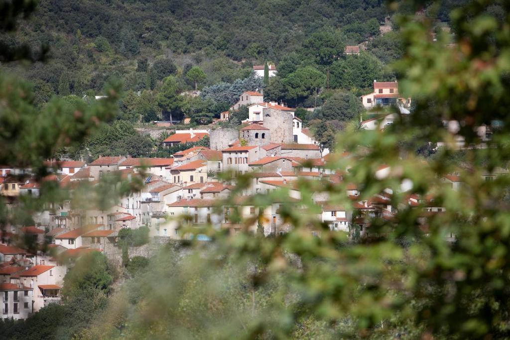 La Pinede Hotel Amélie-les-Bains-Palalda Cameră foto
